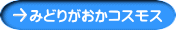 ݂ǂ肪RXX
