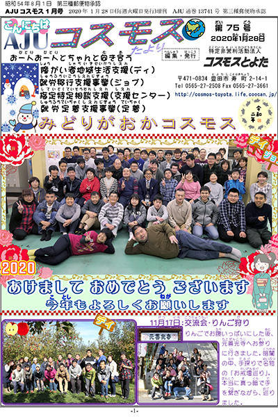 75@2020N1