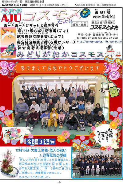 81@2021N1