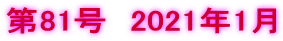 81@2021N1