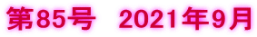 85@2021N9